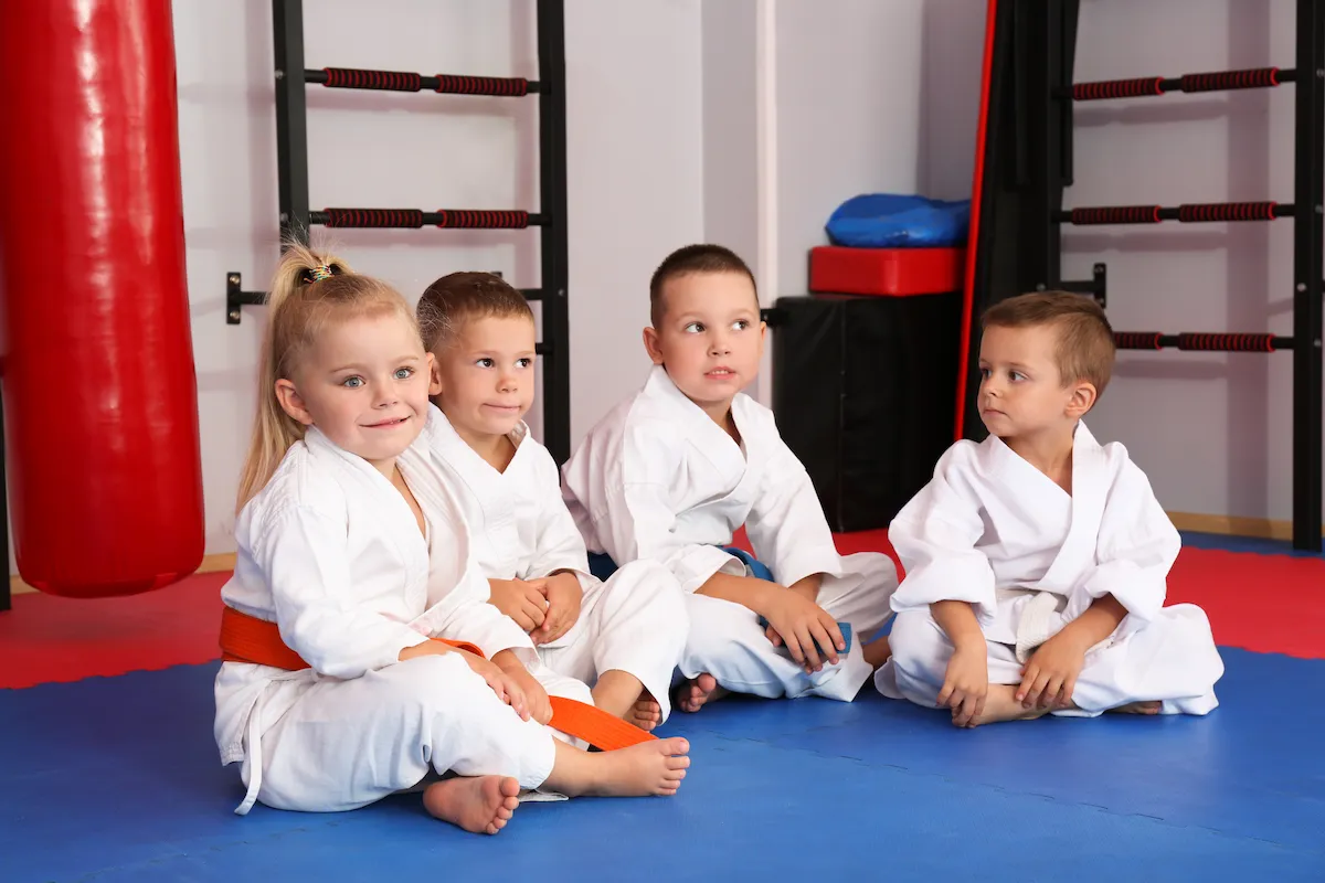 Mentorship Beyond The Dojo